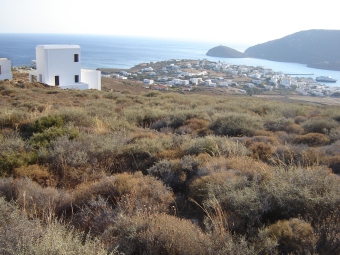 Plot of land Andros Andros