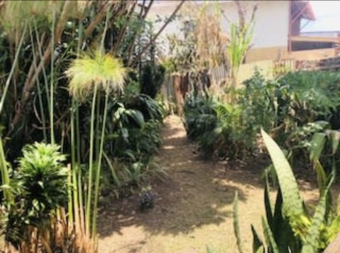 House San Jose San Jose