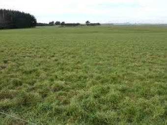 Plot of land TAKORADI Takoradi