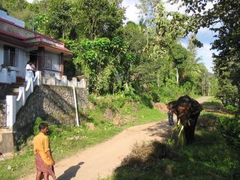 Property for sale Idduki Pooppara, Kerala
