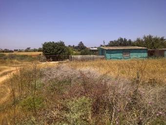 1837 M2 PLOT IN PARALIMNI Paralimni