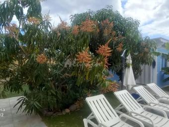 Bungalow Las Galletas Las Galletas  Tenerife
