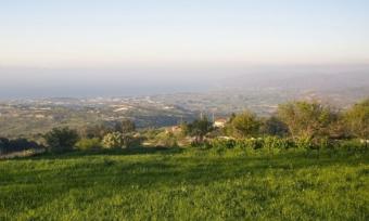 Field Drousia Drousia  Paphos