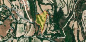 Field Tsada Tsada  Paphos