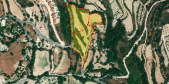 Field Tsada Tsada  Paphos