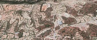 Field Paramytha Paramytha  Limassol