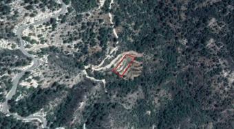 Field Arminou Arminou  Paphos