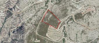 Field Laneia Laneia  Limassol