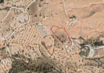 Field Nata Nata  Paphos