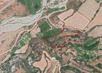 Field Mamonia Mamonia  Paphos