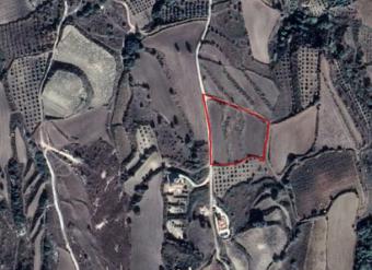 Field Giolou Giolou  Paphos