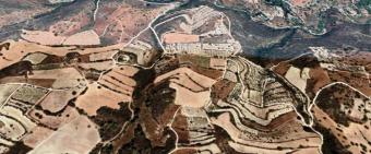 Field Agios Therapon Agios Therapon  Limassol