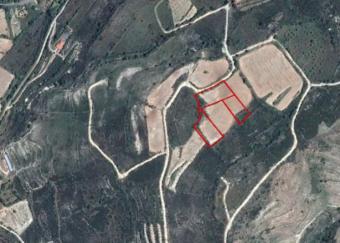 Field Praitori Praitori  Paphos
