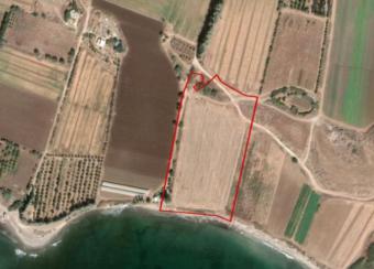 Field Timi Timi  Paphos
