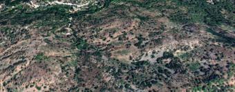 Field Treis Elies Treis Elies  Limassol