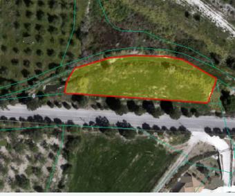 Field Nata Nata  Paphos