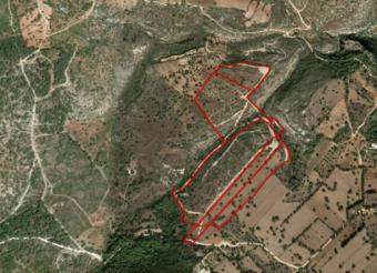 Field Neo Chorio Neo Chorio  Paphos