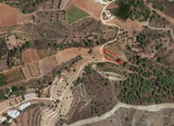 Field Agia Marina (chrysochous) Agia Marina (chrysochous)  Paphos