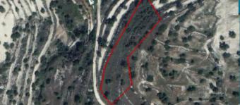Field Paramytha Paramytha  Limassol