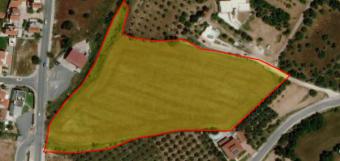 Field Mesogi Mesogi  Paphos