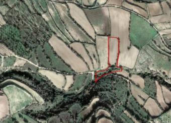 Field Letymvou Letymvou  Paphos