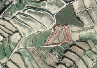 Field Letymvou Letymvou  Paphos