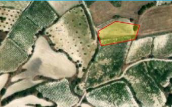 Field Letymvou Letymvou  Paphos