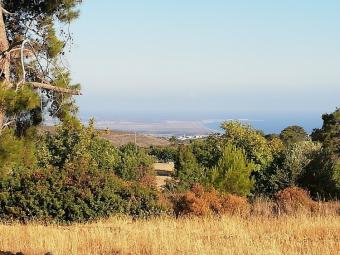 Building Plot Souni Souni  Limassol