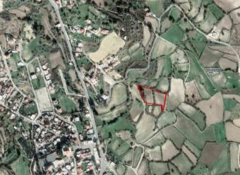 Field Stroumbi Stroumbi  Paphos