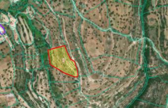 Field Prastio (avdimou) Prastio (avdimou)  Limassol