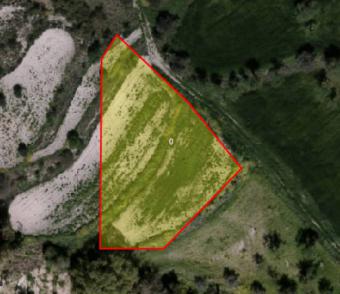 Field Kritou Marottou Kritou Marottou  Paphos