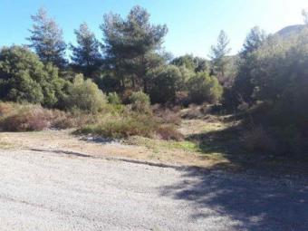 Field Pano Polemidia Pano Polemidia  Limassol