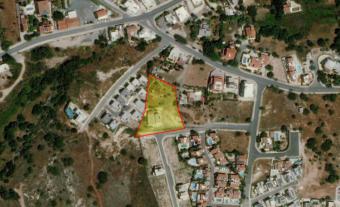 Field Konia Konia  Paphos