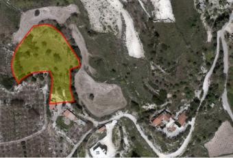 Field Stroumbi Stroumbi  Paphos