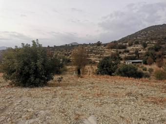 Field Parekklisia Parekklisia  Limassol