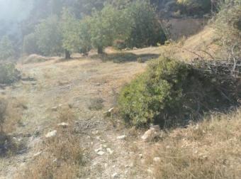 Field Parekklisia Parekklisia  Limassol