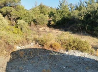Field Pyrgos Lemesou Pyrgos Lemesou  Limassol