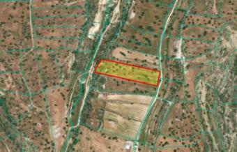 Field Pachna Pachna  Limassol