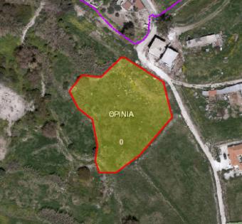 Field Thrinia Thrinia  Paphos