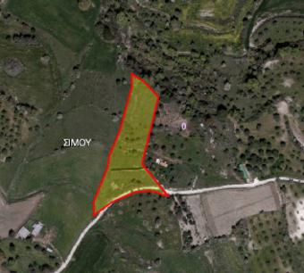 Field Simou Simou  Paphos