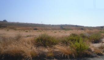 Building Plot Kouklia Kouklia  Paphos