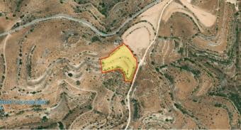 Field Malia Malia  Limassol