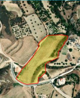 Field Steni Steni  Paphos
