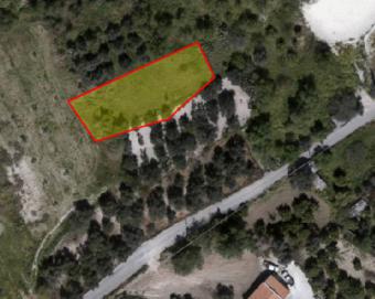 Field Letymvou Letymvou  Paphos