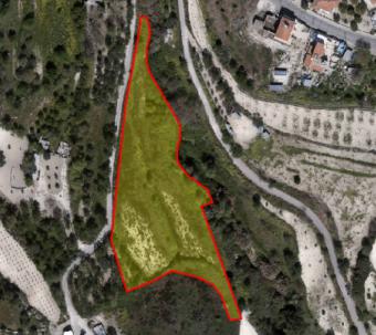 Field Letymvou Letymvou  Paphos
