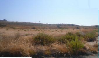 Building Plot Kouklia Kouklia  Paphos
