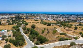 Field Anarita Anarita  Paphos