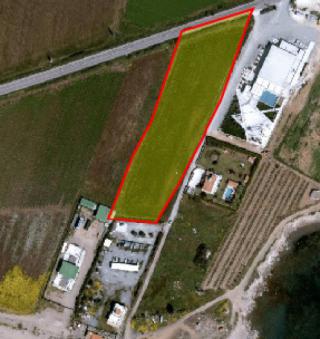 Field Timi Timi  Paphos