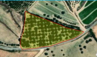 Field Chrysochou Chrysochou  Paphos
