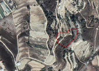 Field Kilinia Kilinia  Paphos